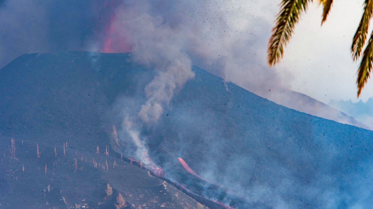 El cono principal del volcán La Palma sufre un colapso parcial: "No soporta su propio peso" |  Comunidad